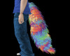 Rainbow Tail (M)/SP