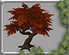 ~E- Tree w/Poses 2 -Fall