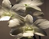 Orchid Puzzle Picture
