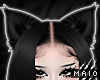 𝓒.WILD black cat ears