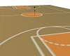 basketball court1