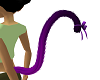 cat tail purple