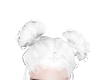 cat | white
