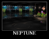 Neptune Bundle