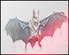Evil Bat Monster