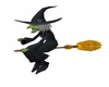 animated witch (fly)