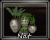 NT Everytime Vases