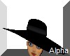 AO~black hat