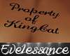 PROPERTY OF KINGCAT TS