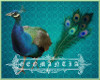 peacock & feather filler