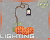 Light Pumpkins 1a Ⓚ