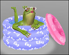 Frog in Summer Swimming pool