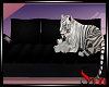 Tigress ~ sofa ~