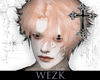 ♱FI. Fyso ♱ Hair♱