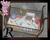 Rainbow baby crib