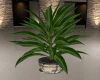 Realistic Plant