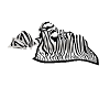 zebra cuddle blanket