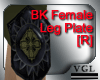 BK Leg Plate Right