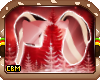 CBM Cane Ears