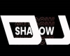 DJ SHADOWS NEON