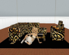 leopard couch with poses