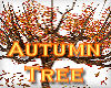 ~Autumn Tree~