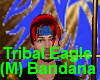 Tribal Eagle (M) Bandana