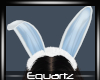 Winter Blue Bunny Ears