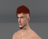 TAN Ginger