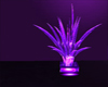 N- palm plant purple