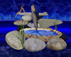 [CZ] Aquatic Fountain 