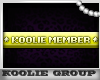 Koolie | Member V4