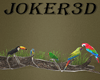 Parrots and Toucan