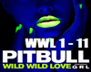 pitbull -wild wild love