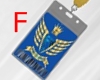 IFM ID Card F