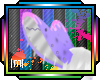 |M| .P. Echo EarsV4