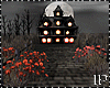 Vampire Night Halloween