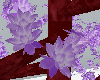 (e)lilac sakura tree