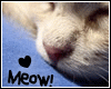 Animated - Meow <3