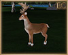 EC| Summer Cabin Stag