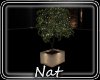 NT Eden Tree Planter