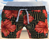 Hawai Shorts