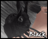 BLACK bunny M