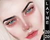 L! Brows Arched Black