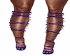Blue Shoe Elegance
