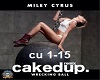 Wrecking Ball(Caked Up)