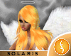 [K] Solaris" Amber