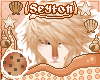✦ Biscotto | Hair