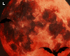 𝓛 BloodMoon