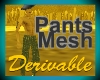 derivable pants